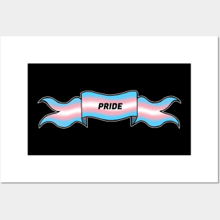 transgender pride banner Posters and Art